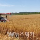 강진슈퍼 이미지