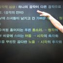 선경에듀주 | [와우에듀 군수직 군무원] 10주차 공부 후기 및 수강 후기
