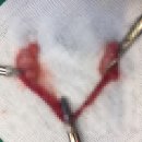 우남동물병원 이미지