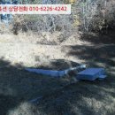대로3류(연풍리) 네이버블로그