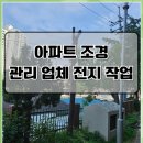 하늘조경관리 | 고양 아파트 조경 관리 업체 전지 작업