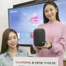 스카이라이프