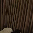 오성2목장 이미지