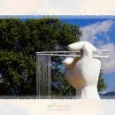 봉평메밀밭 이미지