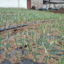 기타시설 이미지