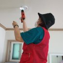 강남-250 이미지