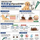 위케어동물의료센터 | 살인 진드기(SFTS), 그리고 진드기 예방약 (feat 심장사상충약)