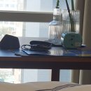 도파민중독백수으삶