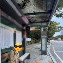 수원화성 | 수원 화성 미디어아트 축제 후기