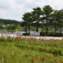 한강신도시호수공원 이미지