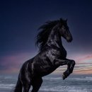 시대를 앞서가는 AI 아티스트 이미지