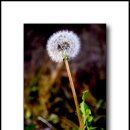 정환농장 이미지