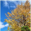 시민 행정사사무소 이미지