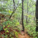 장령산자연휴양림 이미지