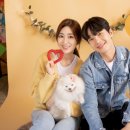 바이크애견 이미지