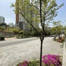 송산 대방 1차 아파트 이미지