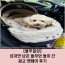 마이펫돌 | [율무일상] 2024년 10월 마이펫 페어 광교 후기 (상처만 남은 펫 페어...)