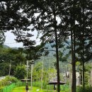 반스힐리조트 이미지