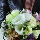 플로아트 이미지
