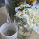 잠실미의원 | 잠실 미클리닉 미의원 써마지 900샷 내돈내산 후기, 써마지 노수면 노마취크림 후기