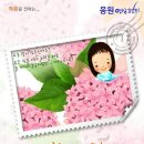 어른이 읽는 그림책 이미지