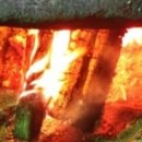 안녕달팽이 이미지