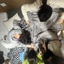 커피바라 - 서산시 삼길포1로 63 | 커피바라