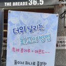 더브래드36.5 운정점 이미지