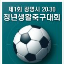 제 1회 광명시 2030 청년생활 축구대회(마감) 이미지