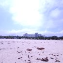 오션투유 리조트 이미지