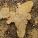 은평-026 이미지