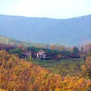 오렌지펜션 이미지