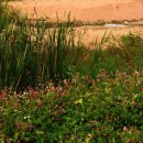 온누리(주) 이미지