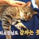 상가막농장 네이버블로그