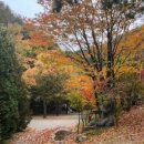 횡성자연휴양림 이미지