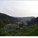 수의동강촌 이미지