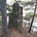 계곡사랑 이미지