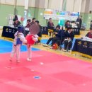 위올태권도 이미지