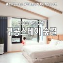 스테이 숲 | 경주독채풀빌라 추천 │ 아이와 즐긴 프라이빗 힐링, 구공스테이숲결 후기