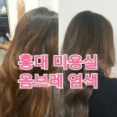 살롱 드 넬