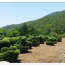 석전농장 이미지