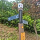 거제산타Go 인증산행 거제산타고 노자산-가라산-망산 종주산행 등산코스