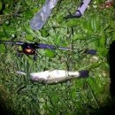 청도천6 이미지