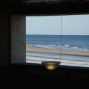 숲속파도소리 이미지