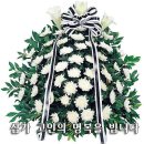 입천 이미지