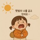 콩쥐팥쥐 이미지