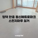 동신스폰지 이미지