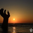 해돋이물회