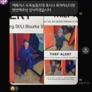 멜버른 일상, 백패커스 후기, 트램 인스펙터걸림, 노숙자한테 머리맞음, 피츠로이마켓, 세인트킬다비치...