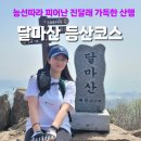 미황사 화장실 이미지